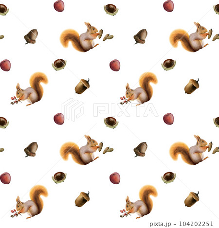 Red squirrel with pine cones, acorns, berries and chestnuts watercolor seamless pattern on white background fabric, scrapbooking, bed linen designs Red squirrel with pine cones, acorns, berries and chestnuts watercolor seamless pattern on white background fabric, scrapbooking, bed linen designs 104202251