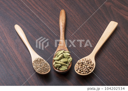 スパイス　香辛料　カレースパイス　エスニック料理　イメージ素材 104202534