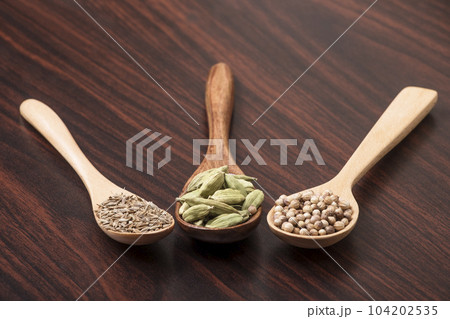 スパイス　香辛料　カレースパイス　エスニック料理　イメージ素材 104202535