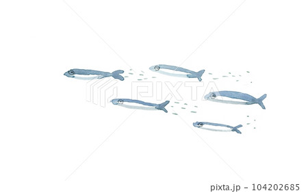 左向きのイワシの群れ 104202685