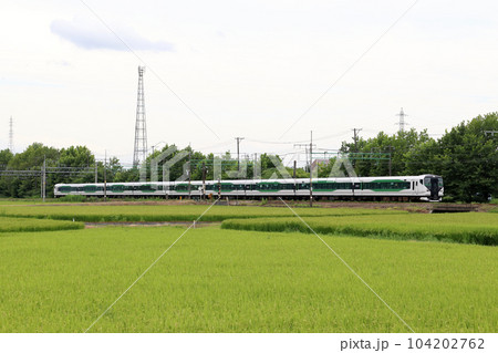 上越線を行く長岡花火ツアー列車（2022年） 104202762