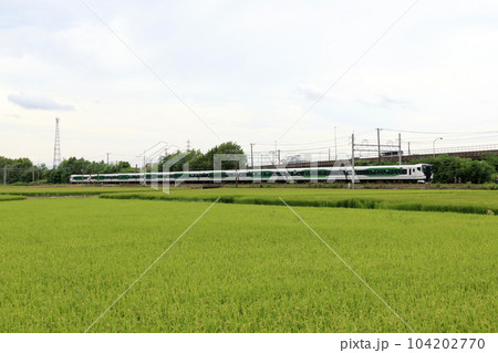 上越線を行く長岡花火ツアー列車(2022年) 上越線を行く長岡花火ツアー列車(2022年) 104202770