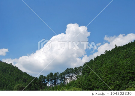 黒滝村の山と夏空の風景 黒滝村の山と夏空の風景 104202830