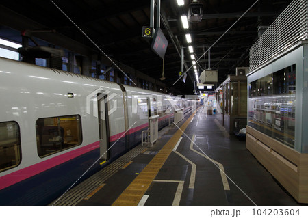 新潟駅に停車中の上越新幹線とき号(E2系1000番台車両) 新潟駅に停車中の上越新幹線とき号(E2系1000番台車両) 104203604