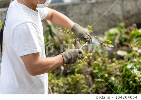 庭木の伐採 104204054