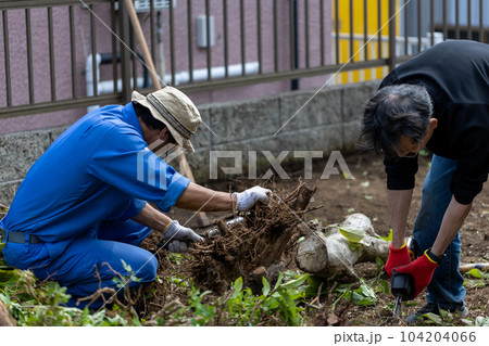 庭木の伐採 庭木の伐採 104204066