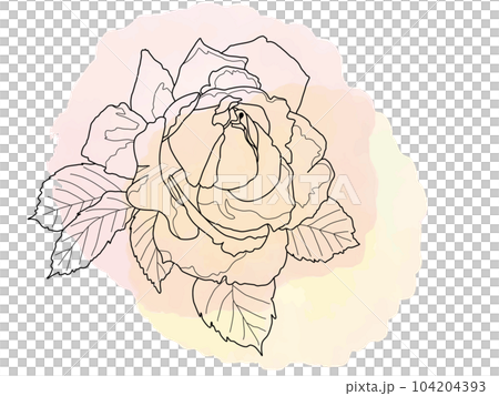 Pastel background and rose flower 9 104204393