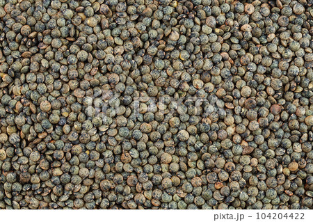 raw french green lentils as a background. Top view. Flat lay raw french green lentils as a background. Top view. Flat lay 104204422