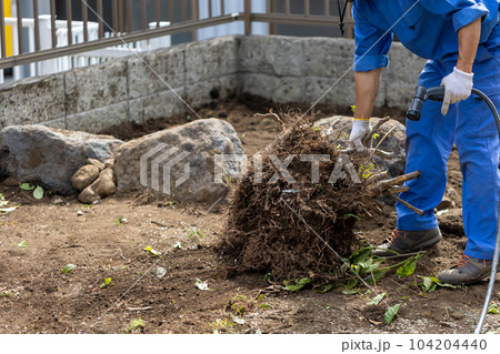 庭木の伐採 104204440