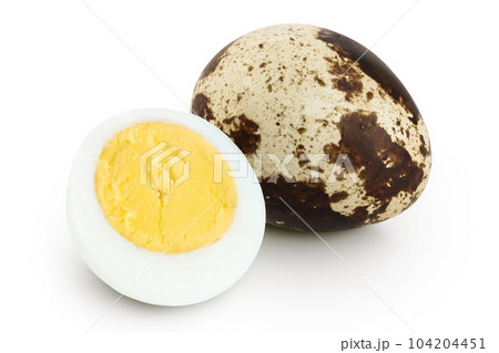 boiled quail egg isolated on white background with full depth of field 104204451