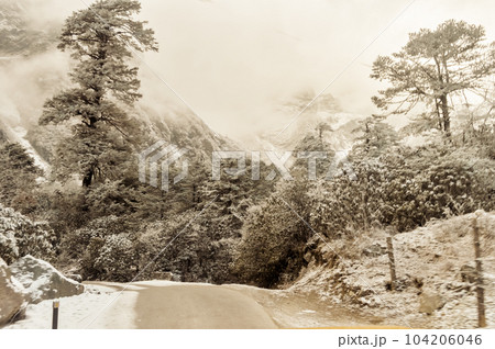 Light brown color winter landscape. Mountain Road forest covering snow. Light brown color winter landscape. Mountain Road forest covering snow. 104206046