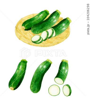 ズッキーニのセット 夏野菜の手描き水彩イラスト素材集 ズッキーニのセット 夏野菜の手描き水彩イラスト素材集 104206298