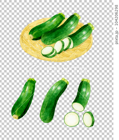 ズッキーニのセット 夏野菜の手描き水彩イラスト素材集 ズッキーニのセット 夏野菜の手描き水彩イラスト素材集 104206298