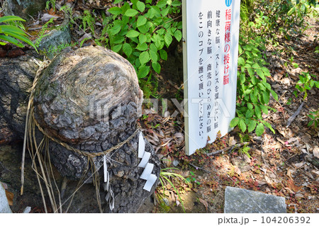 折上稲荷神社 稲荷様の授け脳(京都市山科区) 折上稲荷神社 稲荷様の授け脳(京都市山科区) 104206392