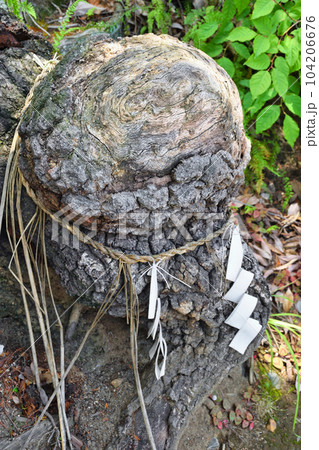 折上稲荷神社　稲荷様の授け脳（京都市山科区） 104206676