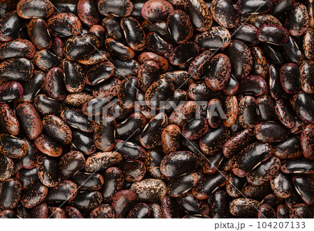 Scarlet Runner beans, from above. Dried and raw runner beans, seeds of Phaseolus coccineus, also known as multiflora or butter bean. In Austria they are called beetle-bean. Background food photo. 104207133