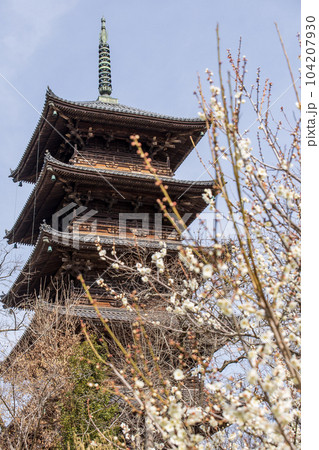 白梅と五重塔 白梅と五重塔 104207930
