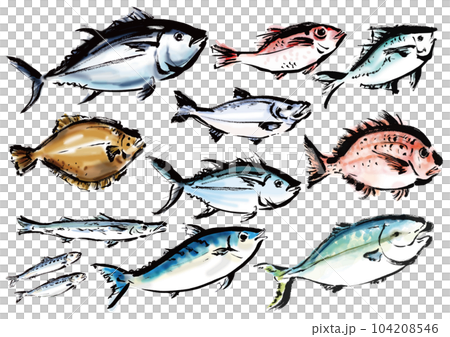 Hand-drawn illustration of a set of fish facing - Stock