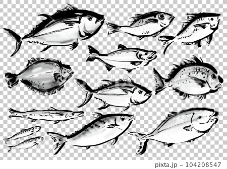 手描きの魚集合イラスト　右向き 104208547