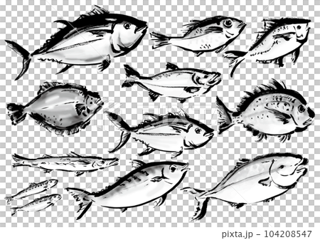 Fish Drawing Stock Photos and Images - 123RF