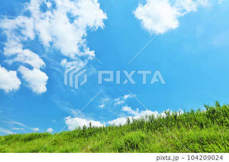 夏の青空と新緑の草原風景 夏の青空と新緑の草原風景 104209024