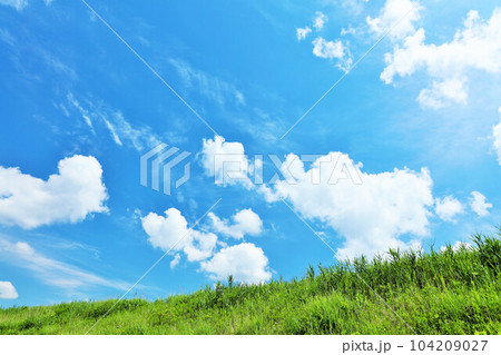 夏の青空と新緑の草原風景 夏の青空と新緑の草原風景 104209027