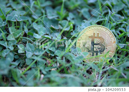 Bitcoin gold coin, Hand hold bitcoin in the park and natural background Bitcoin gold coin, Hand hold bitcoin in the park and natural background 104209553