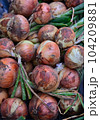 収穫したての新鮮な玉ねぎ 104209881