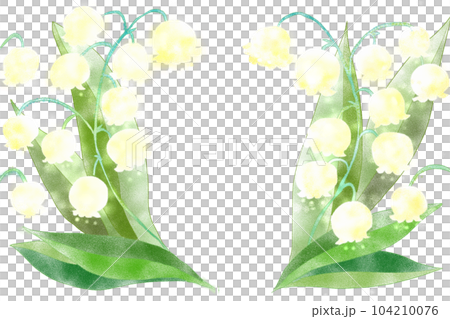 鈴蘭花卡3 104210076