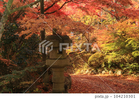 観音寺　5 104210301