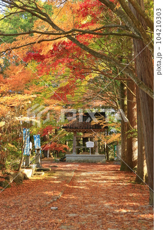 観音寺 7 観音寺 7 104210303