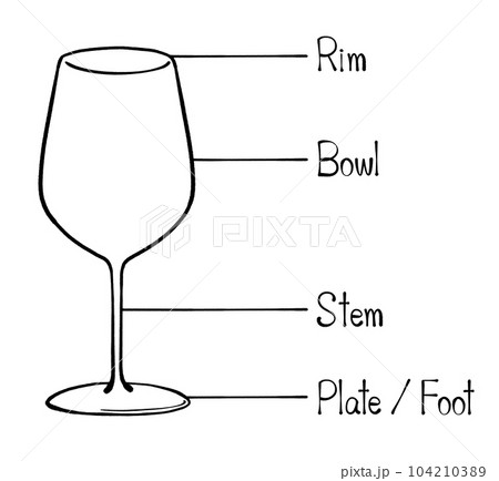 ワイングラスの各部名称のイラスト 104210389