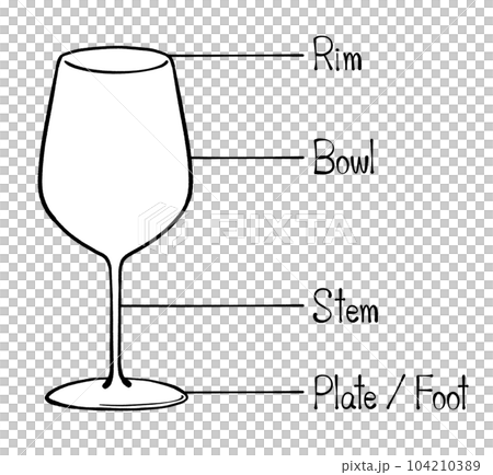 ワイングラスの各部名称のイラスト 104210389