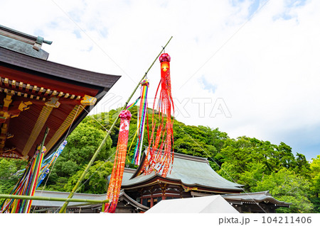 神奈川県鎌倉市 七夕シーズンの鶴岡八幡宮 神奈川県鎌倉市 七夕シーズンの鶴岡八幡宮 104211406