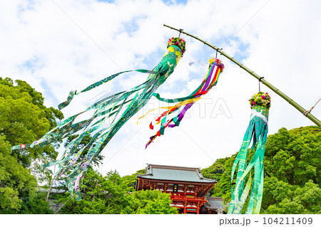 神奈川県鎌倉市 七夕シーズンの鶴岡八幡宮 神奈川県鎌倉市 七夕シーズンの鶴岡八幡宮 104211409