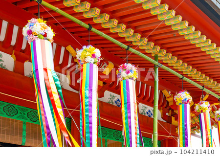 神奈川県鎌倉市 七夕シーズンの鶴岡八幡宮 神奈川県鎌倉市 七夕シーズンの鶴岡八幡宮 104211410
