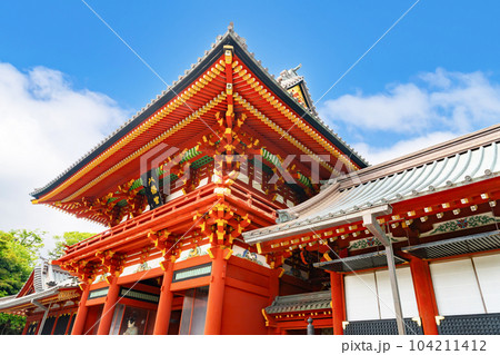 神奈川県鎌倉市 七夕シーズンの鶴岡八幡宮 神奈川県鎌倉市 七夕シーズンの鶴岡八幡宮 104211412