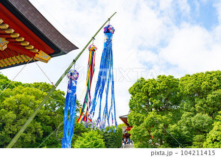 神奈川県鎌倉市 七夕シーズンの鶴岡八幡宮 神奈川県鎌倉市 七夕シーズンの鶴岡八幡宮 104211415