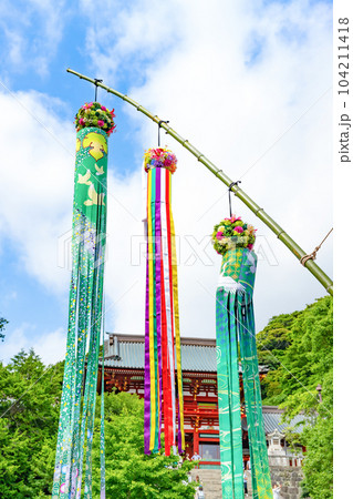 神奈川県鎌倉市　七夕シーズンの鶴岡八幡宮 104211418