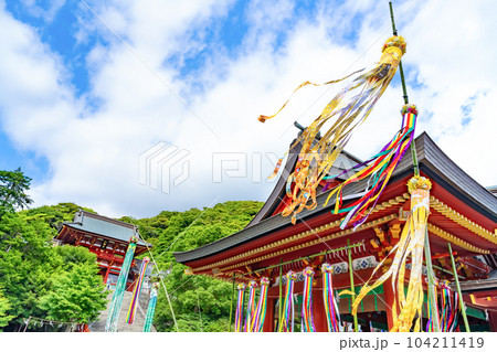 神奈川県鎌倉市 七夕シーズンの鶴岡八幡宮 神奈川県鎌倉市 七夕シーズンの鶴岡八幡宮 104211419