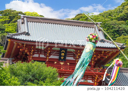 神奈川県鎌倉市　七夕シーズンの鶴岡八幡宮 104211420