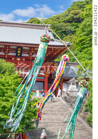 神奈川県鎌倉市 七夕シーズンの鶴岡八幡宮 神奈川県鎌倉市 七夕シーズンの鶴岡八幡宮 104211422