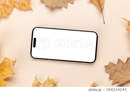 Smartphone with blank scree 104214241