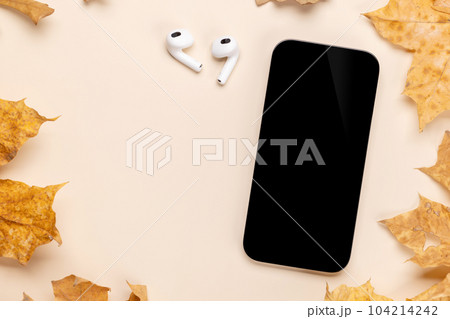 Smartphone with blank scree 104214242