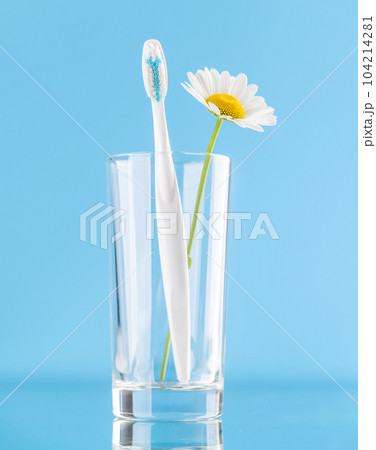Toothbrush 104214281
