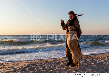 The girl walks with the dog along the beach. 104214297