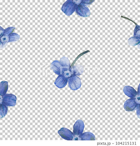 Seamless floral pattern of beautiful little blue forget-me-not flowers isolated on white background. Hand drawn watercolor illustration 104215131