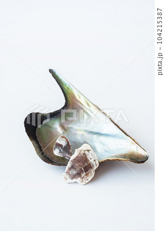 Handcraft earrings collection made from seashells. Unique hand made eco friendly fashion accessories. 104215387