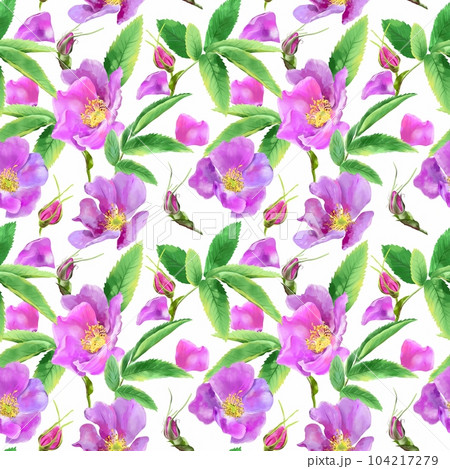 Watercolor seamless pattern of wild rose flowers isolated on white background. Wedding invitations, greeting cards, wrapping paper, textiles, clothes. Watercolor seamless pattern of wild rose flowers isolated on white background. Wedding invitations, greeting cards, wrapping paper, textiles, clothes. 104217279