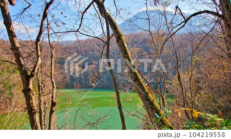 北海道 羊蹄山を望む半月湖(国指定天然記念物)の絶景 104219558
